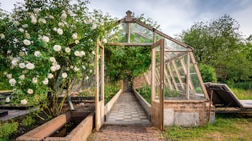 Jardin