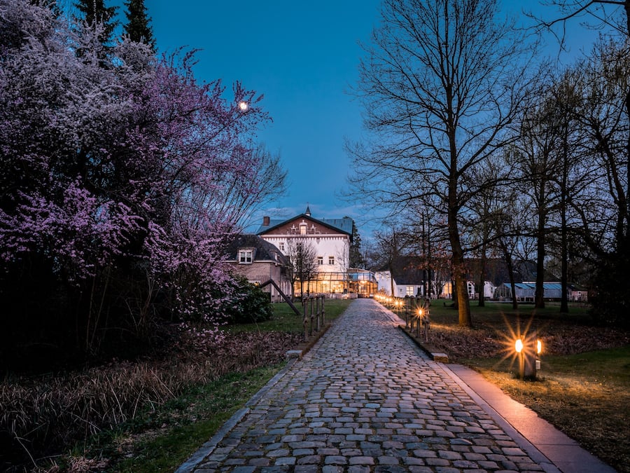 Un sentier pavé de pierres menant à un bâtiment historique au style architectural traditionnel, entouré d’arbres en fleurs et éclairé par des lampadaires.
