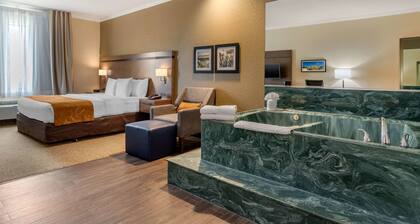 Comfort Suites Baytown I - 10