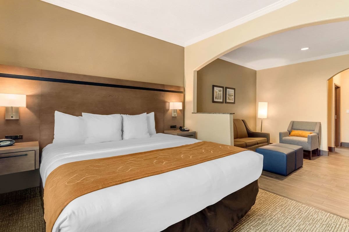 A hotel room with a large bed, a desk, a chair, and a small sofa.
