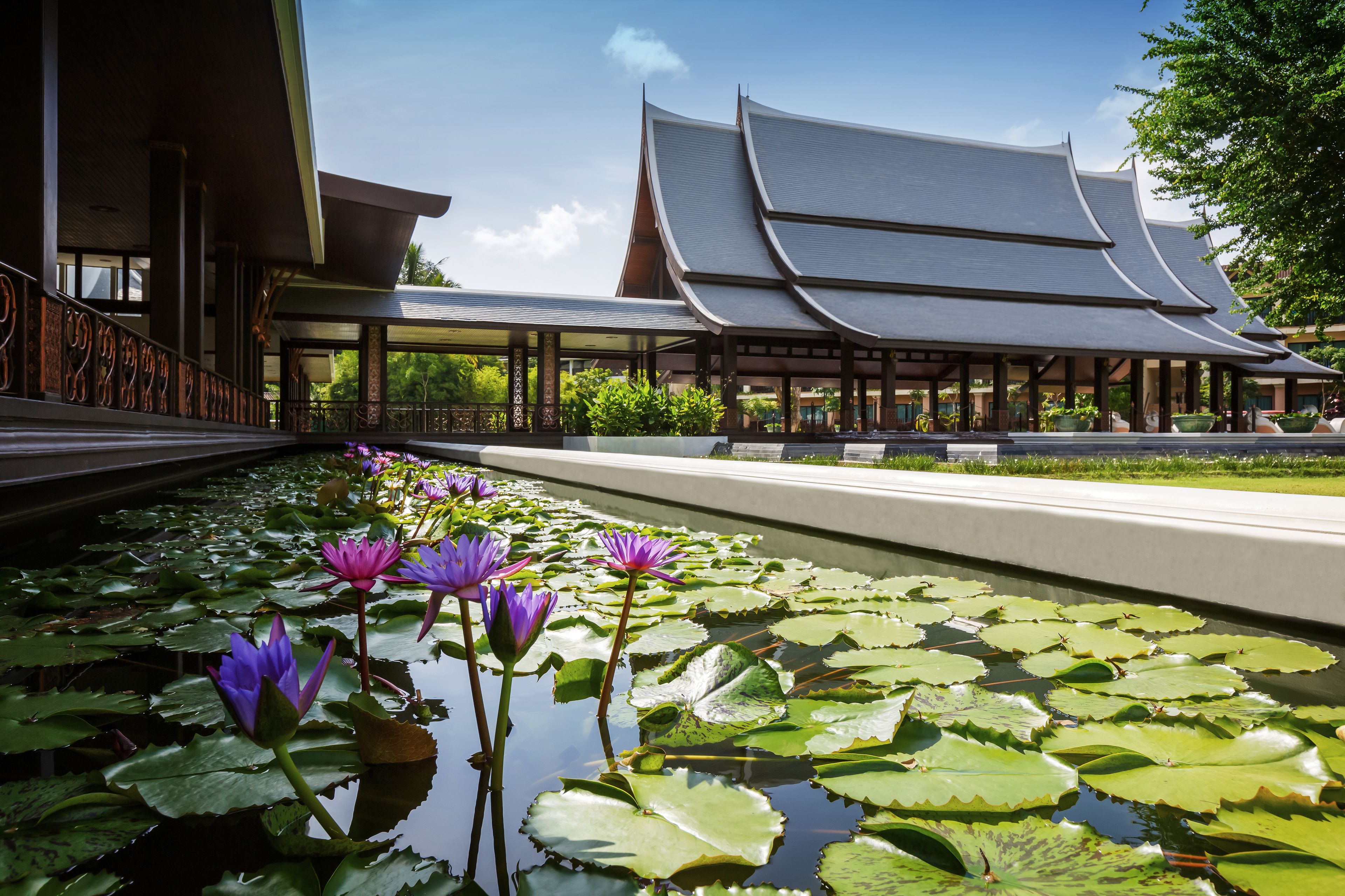 Un edificio tradicional con techo curvo, un estanque lleno de flores de loto y un camino que lleva a la entrada.