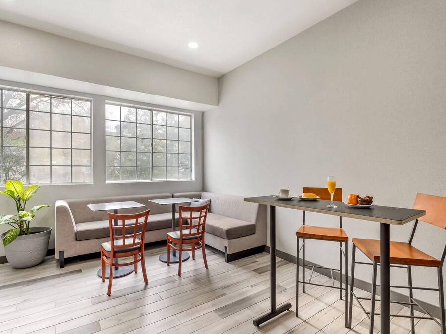 A modern dining area with a sofa, two wooden chairs, a table, and a potted plant.
