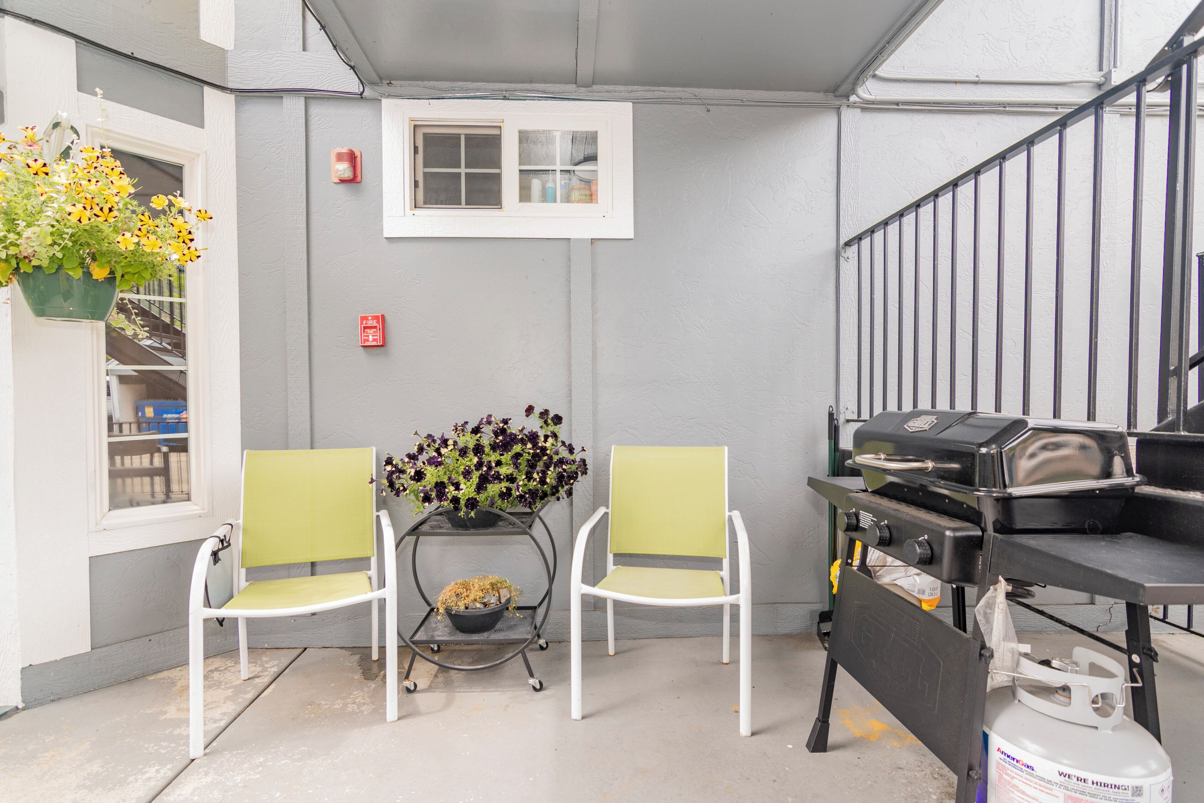 Terraza o patio