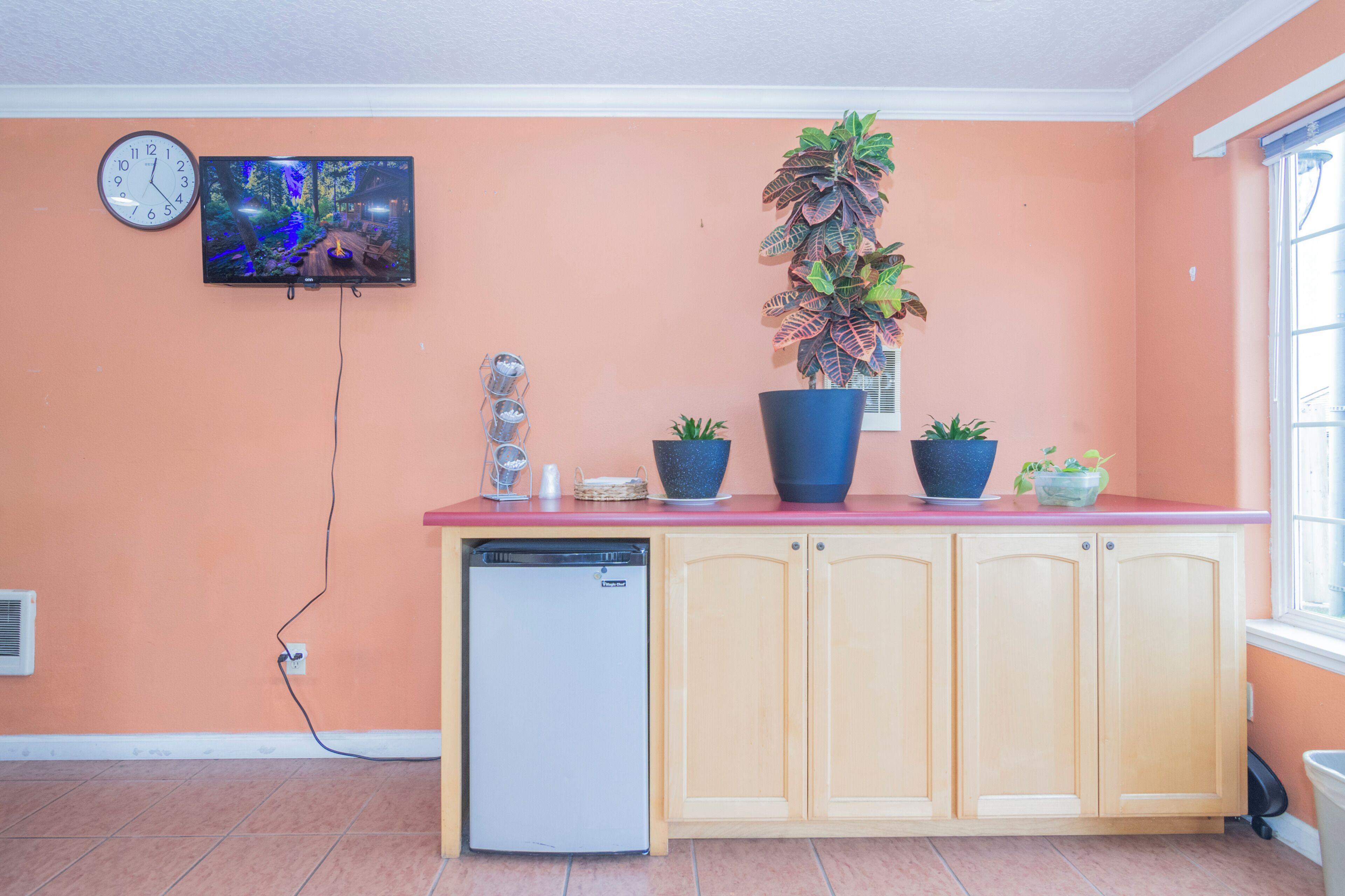 A kitchen with a refrigerator, a sink, a countertop with potted plants, a wall-mounted clock, and a television.