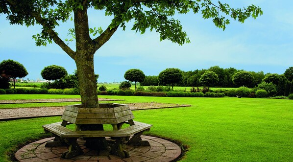 A picnic table under a tree in a park with green grass and trees in the background.