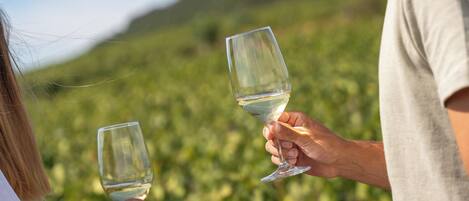 Dos personas sosteniendo copas de vino en un viñedo.