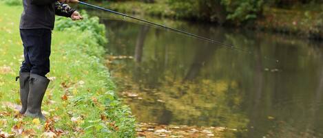 Una persona pescando en un río tranquilo rodeado de follaje otoñal.