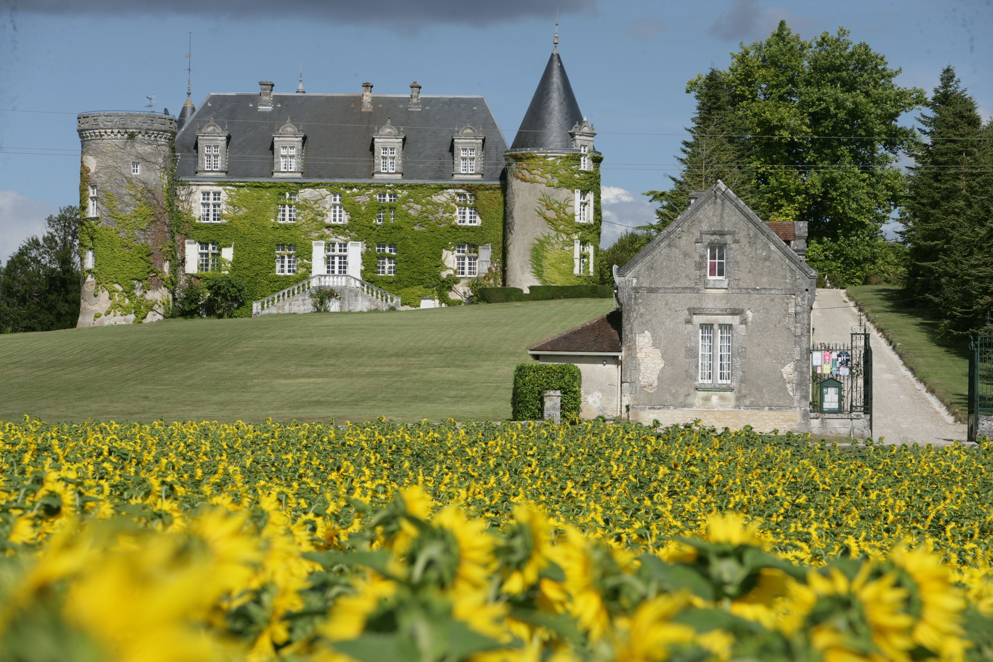 Un edificio parecido a un castillo con una torre, rodeado de un campo de girasoles.