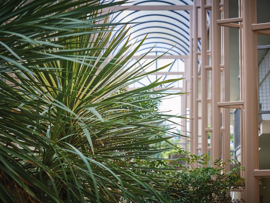 Desk, blackout drapes, soundproofing, free WiFi