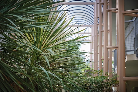 办公桌、遮光窗帘、隔音、免费 WiFi