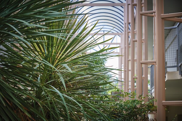 Desk, blackout drapes, soundproofing, free WiFi