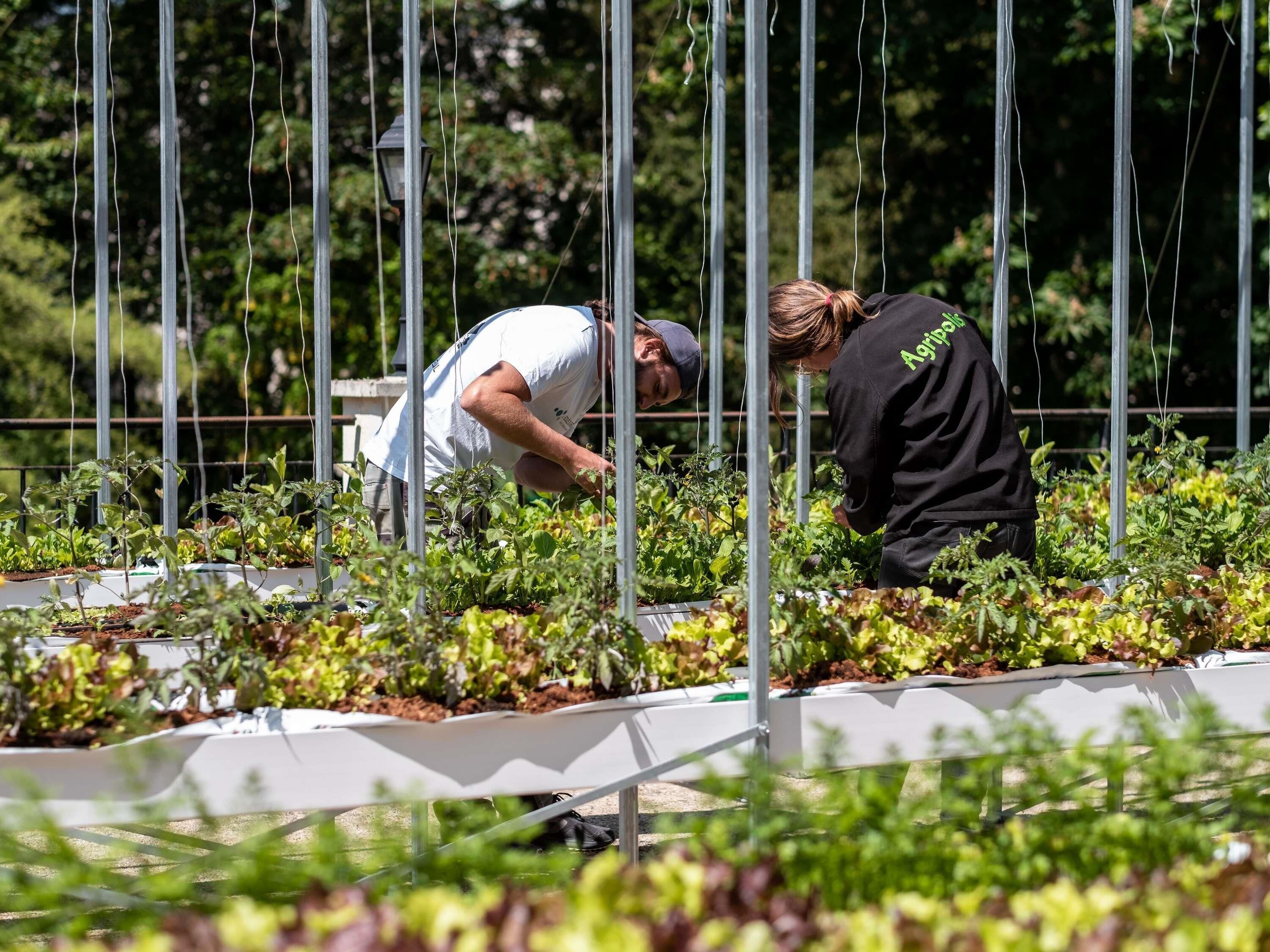 Foto - Mercure Paris Ouest Saint Germain