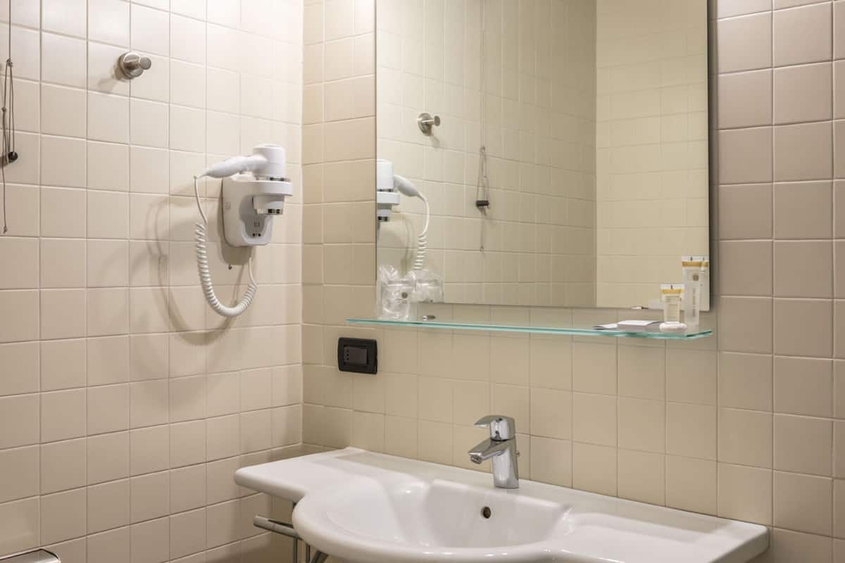 shower, free toiletries, hair dryer, bidet