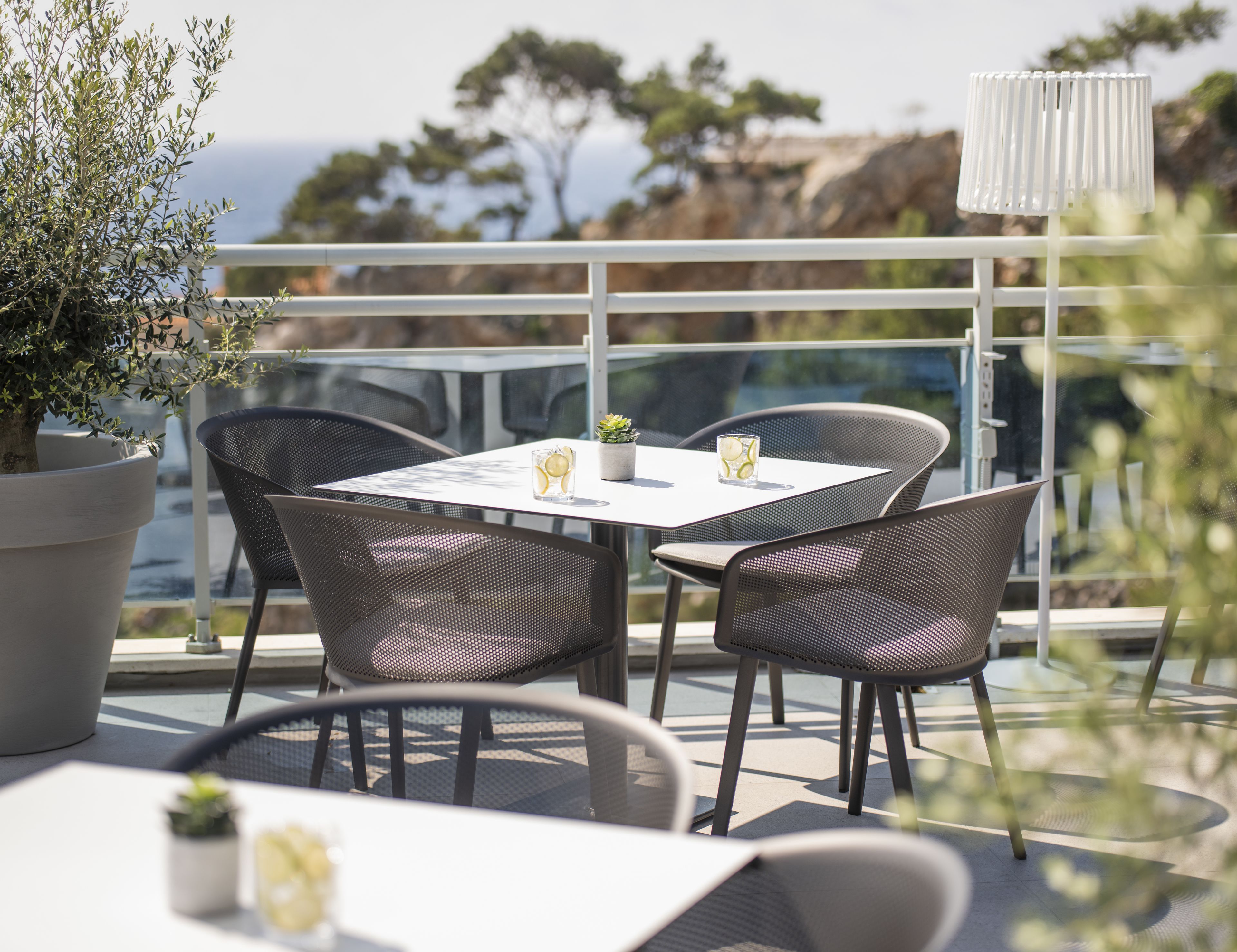 A terrace with a table and chairs, a potted plant, and a view of the sea.
