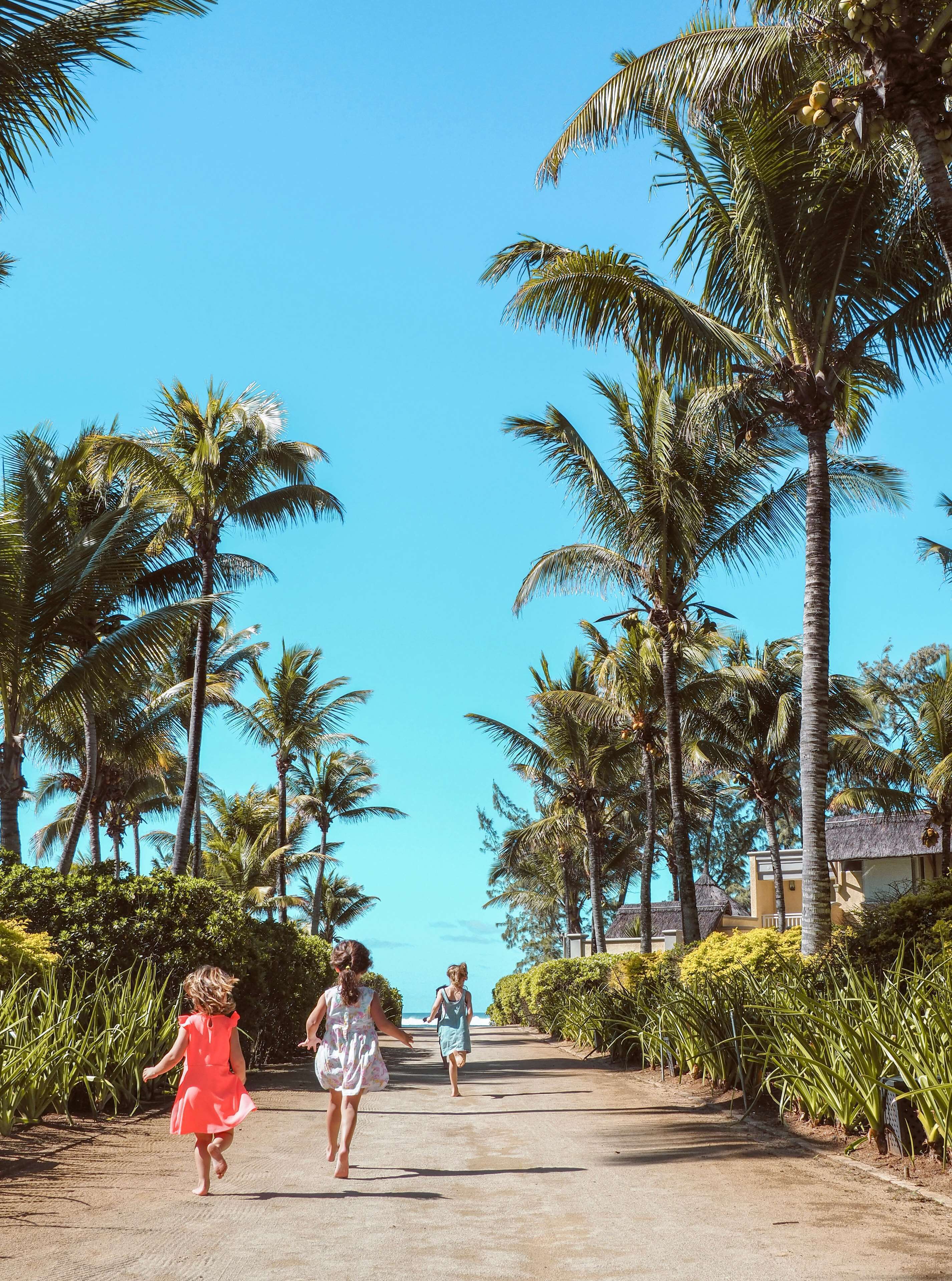 A pathway lined with palm trees and a building with a thatched roof.