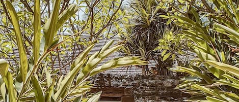 A person walking towards a building with a sign reading 'navasana' in a tropical garden setting.