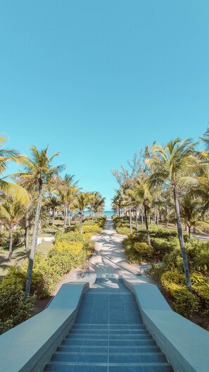 A pathway flanked by palm trees leading to a beach. - OUTRIGGER Mauritius Beach Resort (Bel Ombre)