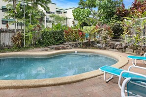Relax by the pool surrounded by lush tropical plants and shrubs, with lounge chairs and a low stone wall.