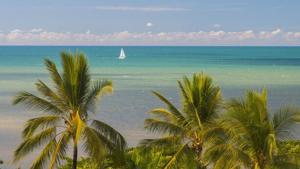 A beach with clear turquoise water, a sailboat, and palm trees. - On the Beach Holiday Apartments (Trinity Beach)