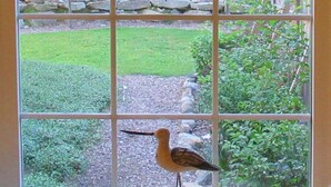 Habitación (Audubon) | Vistas desde la habitación