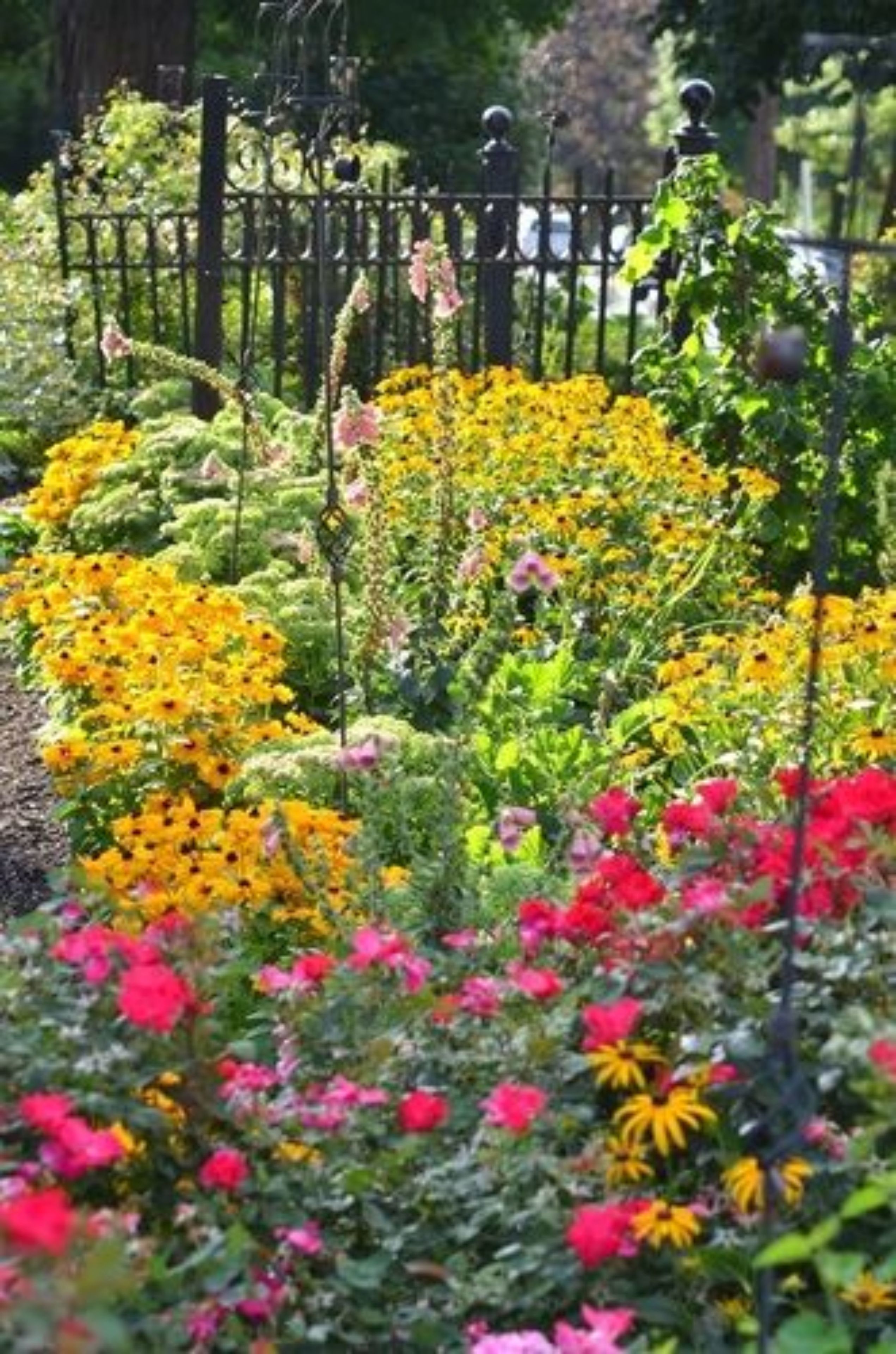 Un jardín con diversas flores y una cerca de metal.