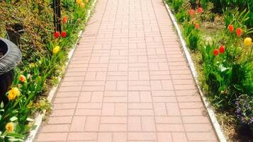 A paved pathway flanked by flower beds with tulips and other plants.