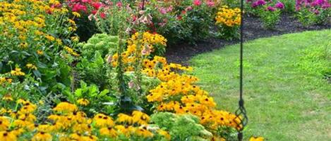 الإطلالة من المنشأة