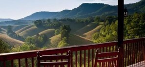 View from property - Berry Springs Lodge (Sevierville)