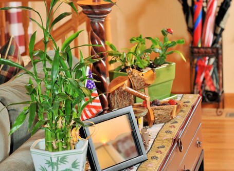 Berry Springs Lodge - Image 43