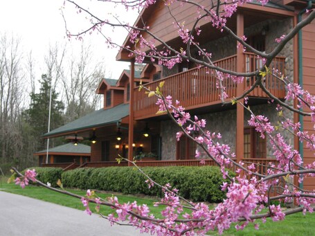 Berry Springs Lodge - Image 19