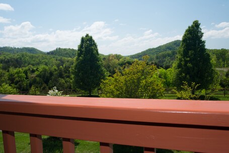Berry Springs Lodge - Image 9