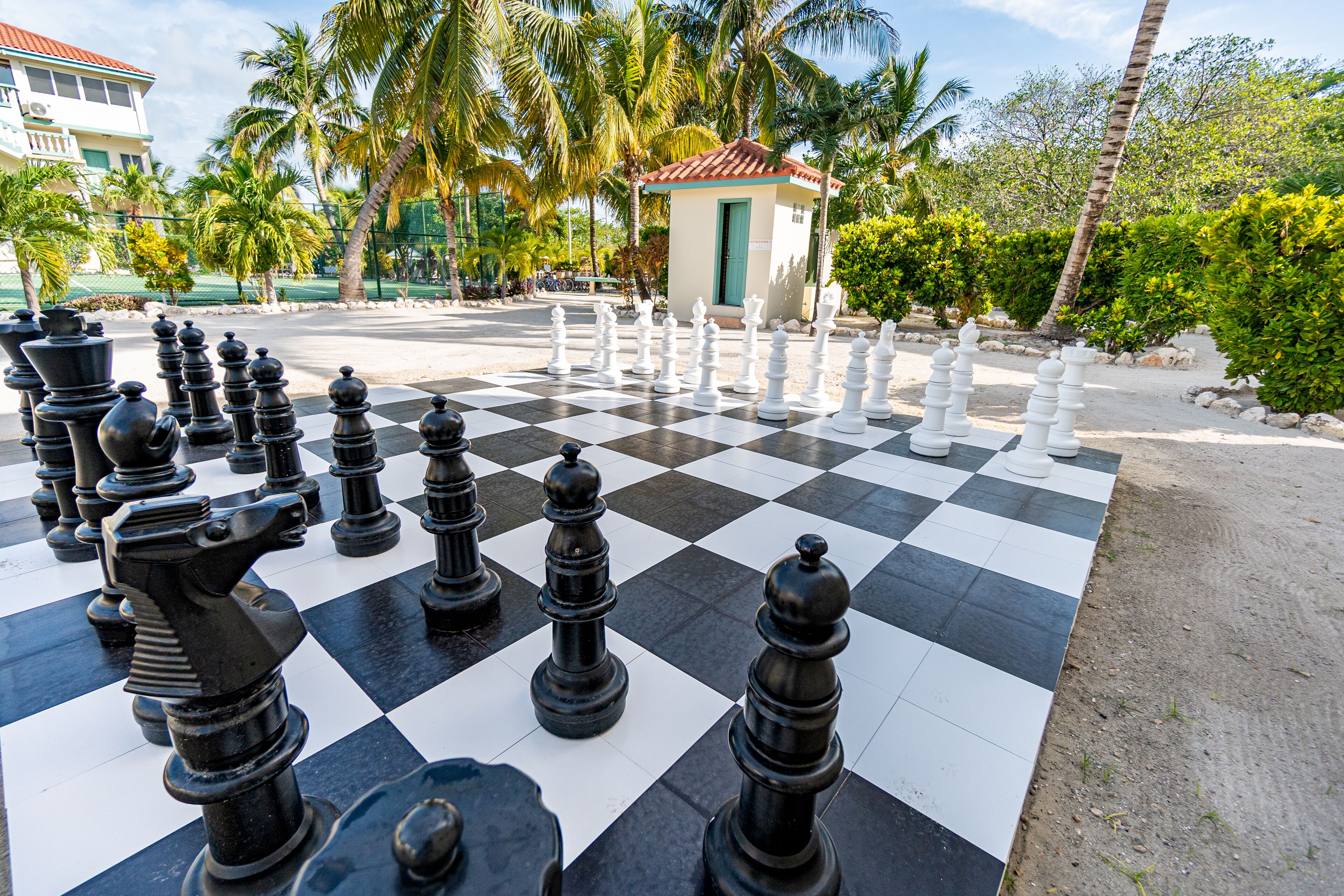 A large outdoor chessboard with chess pieces, surrounded by palm trees and a small building.