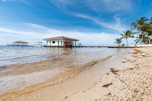 Una playa con un edificio, palmeras y agua cristalina.
