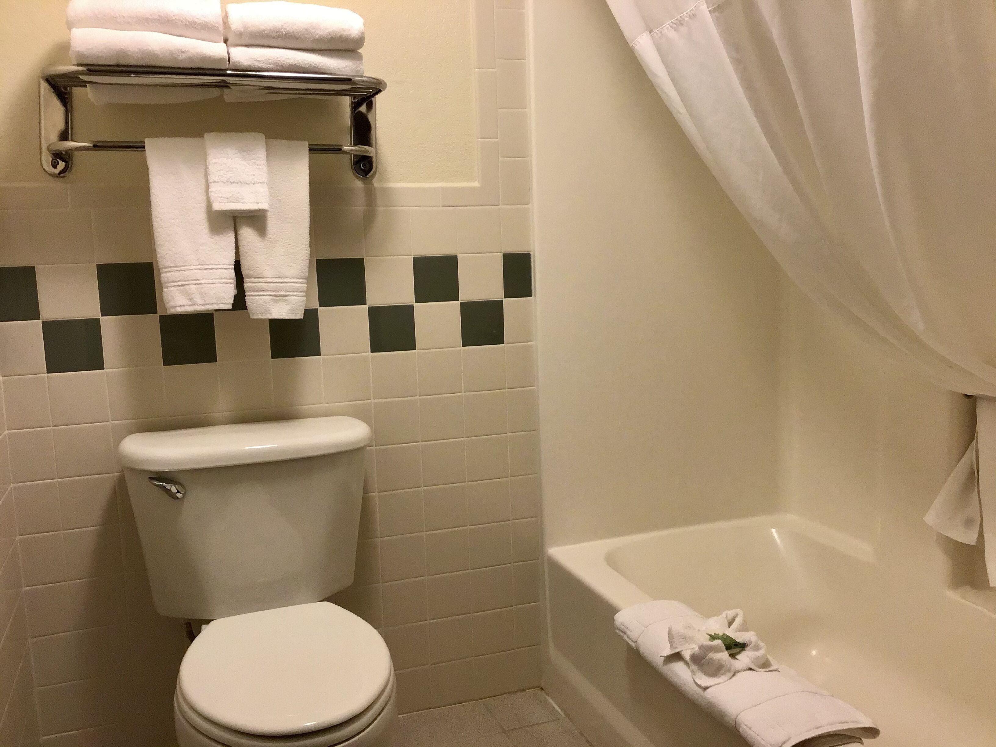 free toiletries, hair dryer, towels