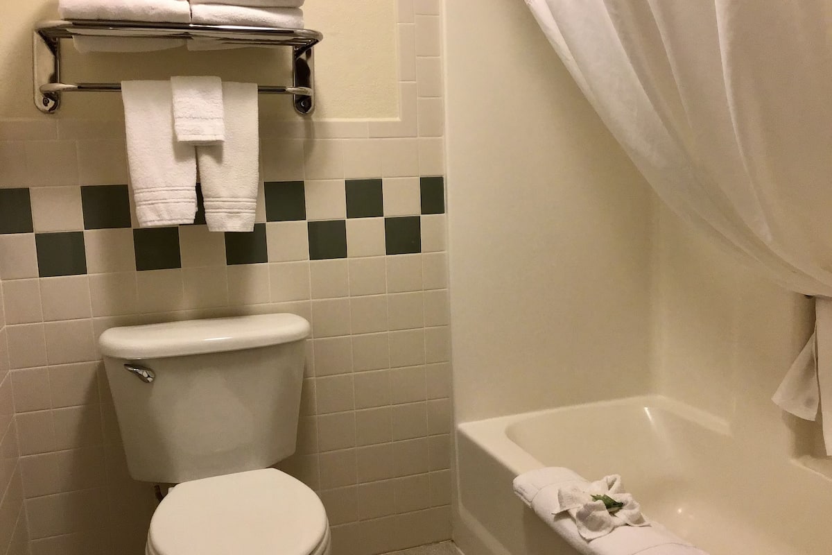 free toiletries, hair dryer, towels