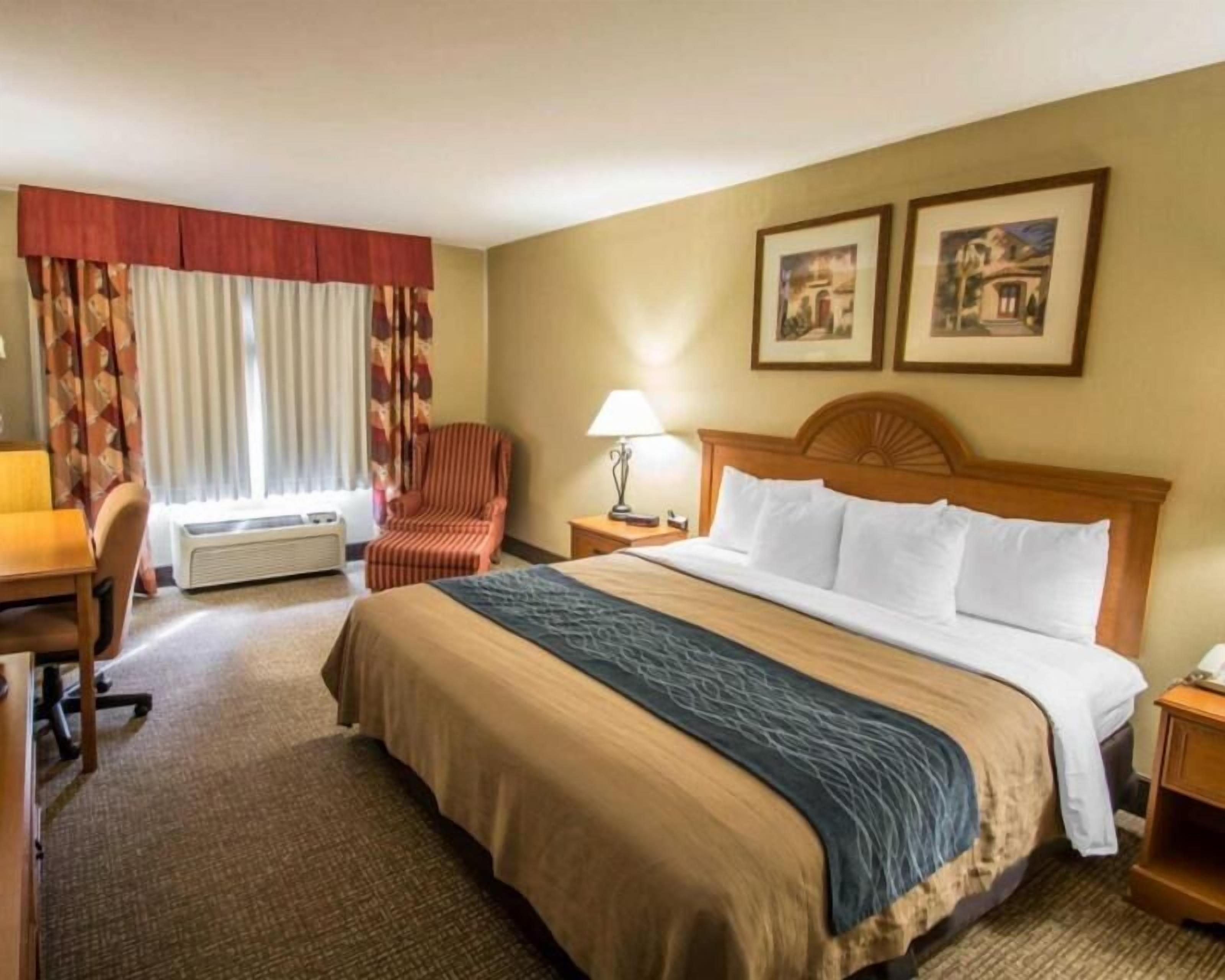 Premium bedding, in-room safe, desk, blackout drapes