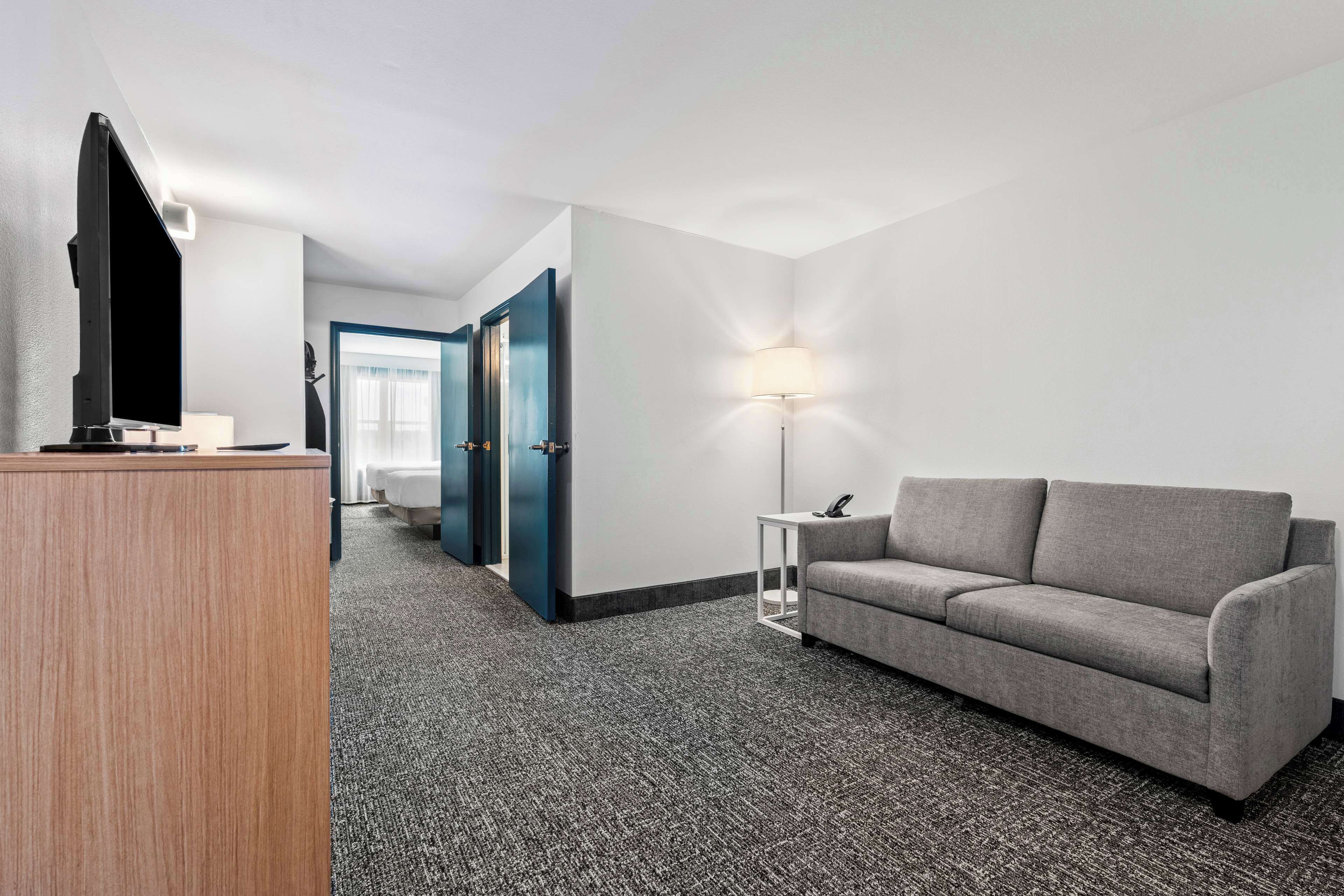 스튜디오, 퀸사이즈침대 2개 | 거실 공간 | TV