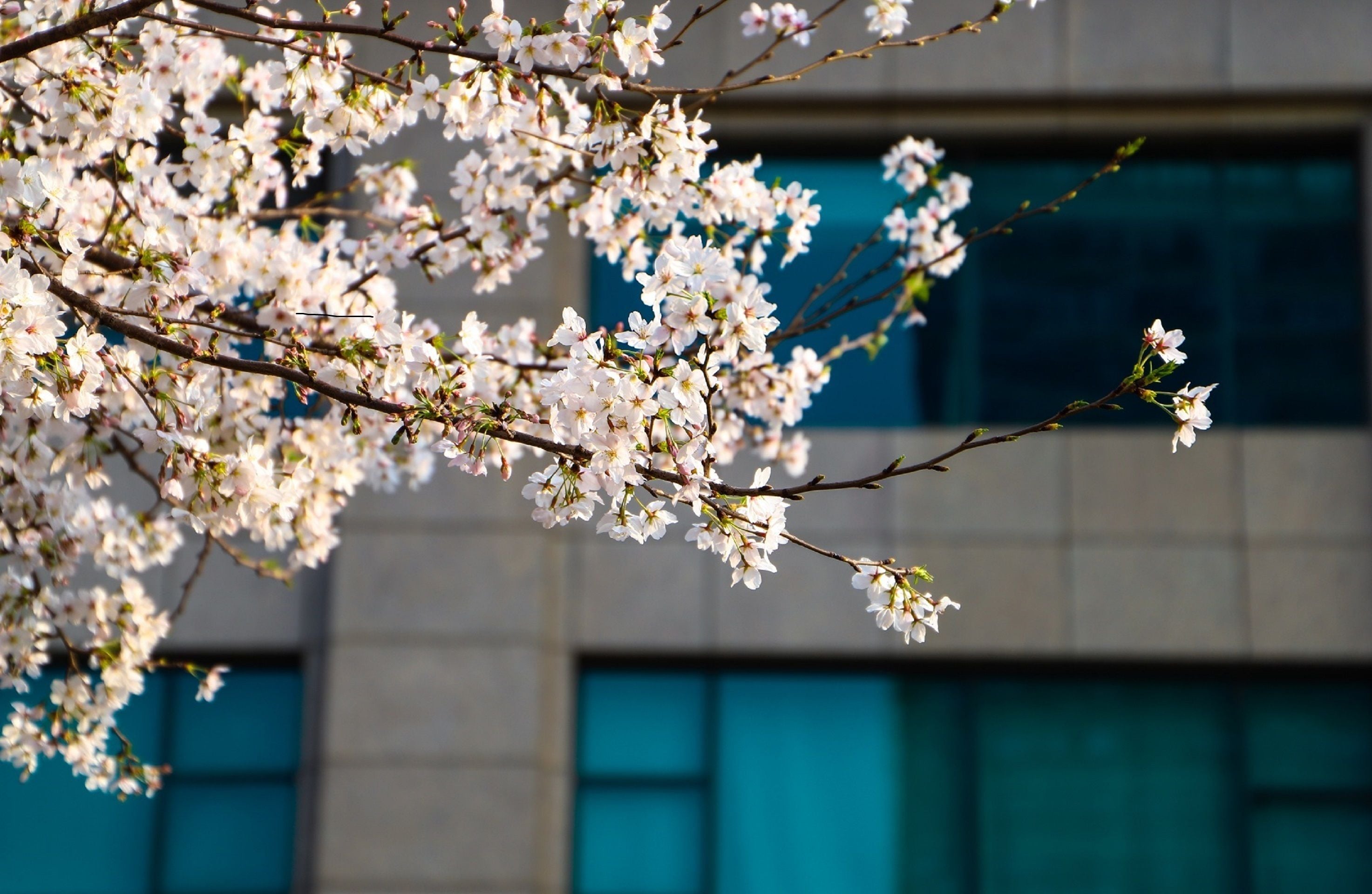 room, 1 king bed, city view | street view