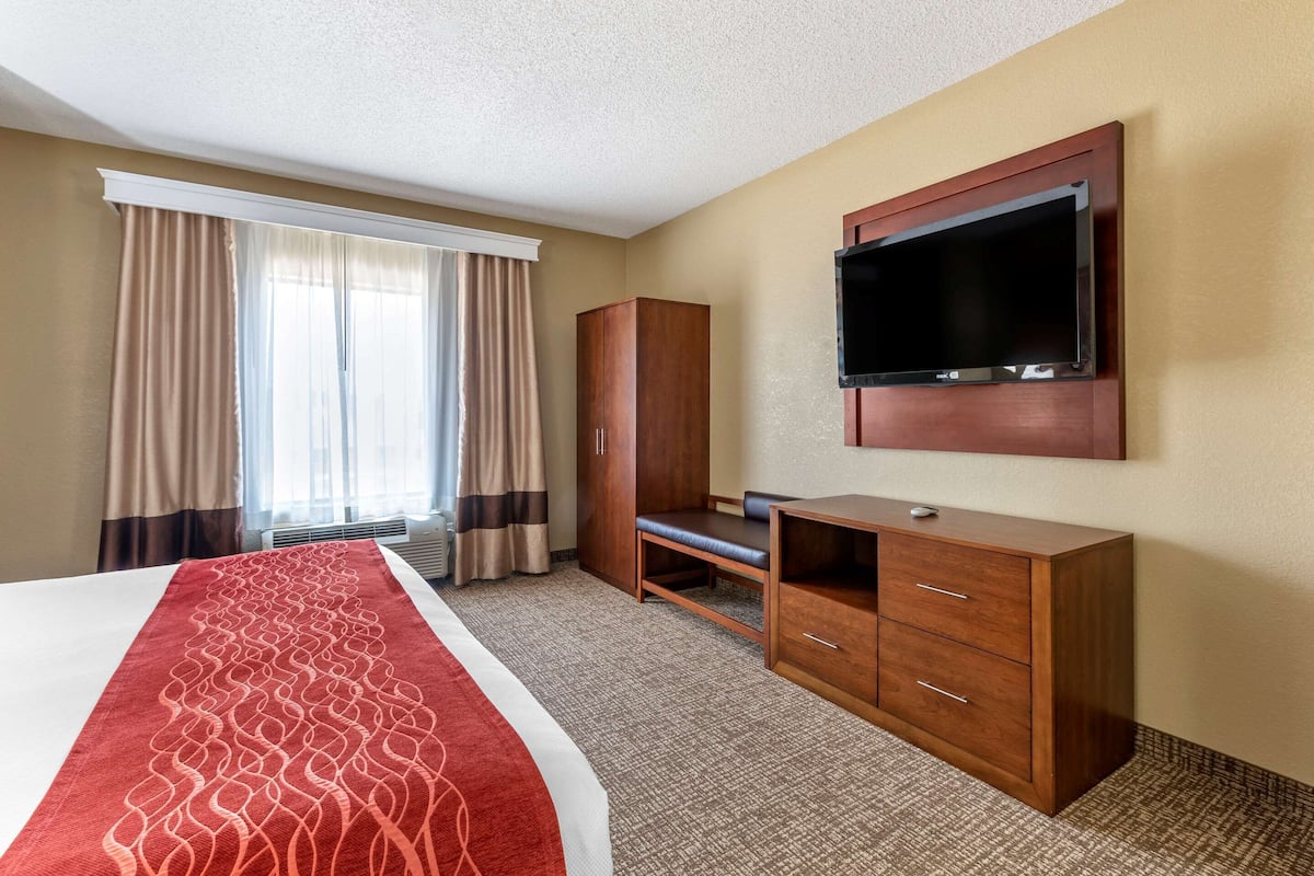 suite, 1 king bed with sofa bed, accessible, non smoking | desk, iron/ironing board, free wifi, bed sheets