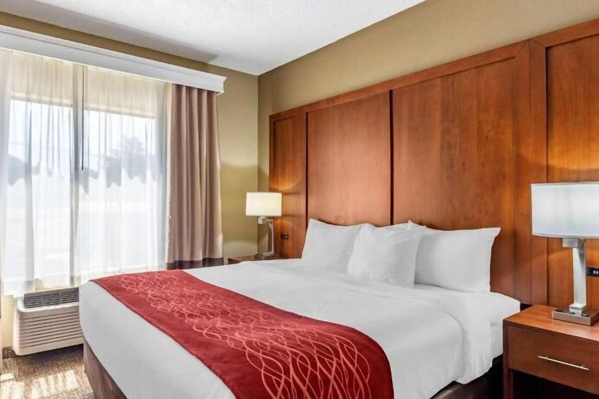 办公桌、熨斗/熨衣板、免费 WiFi、床单