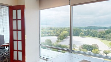 Presidential Suite, 1 Bedroom, Non Smoking, City View | View from room