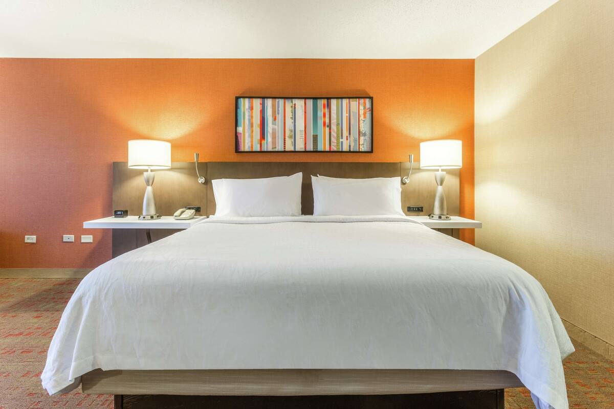 Een hotelkamer met een groot bed, twee nachtkastjes met lampen, een kunstwerk aan de muur en een vloerbedekking.
