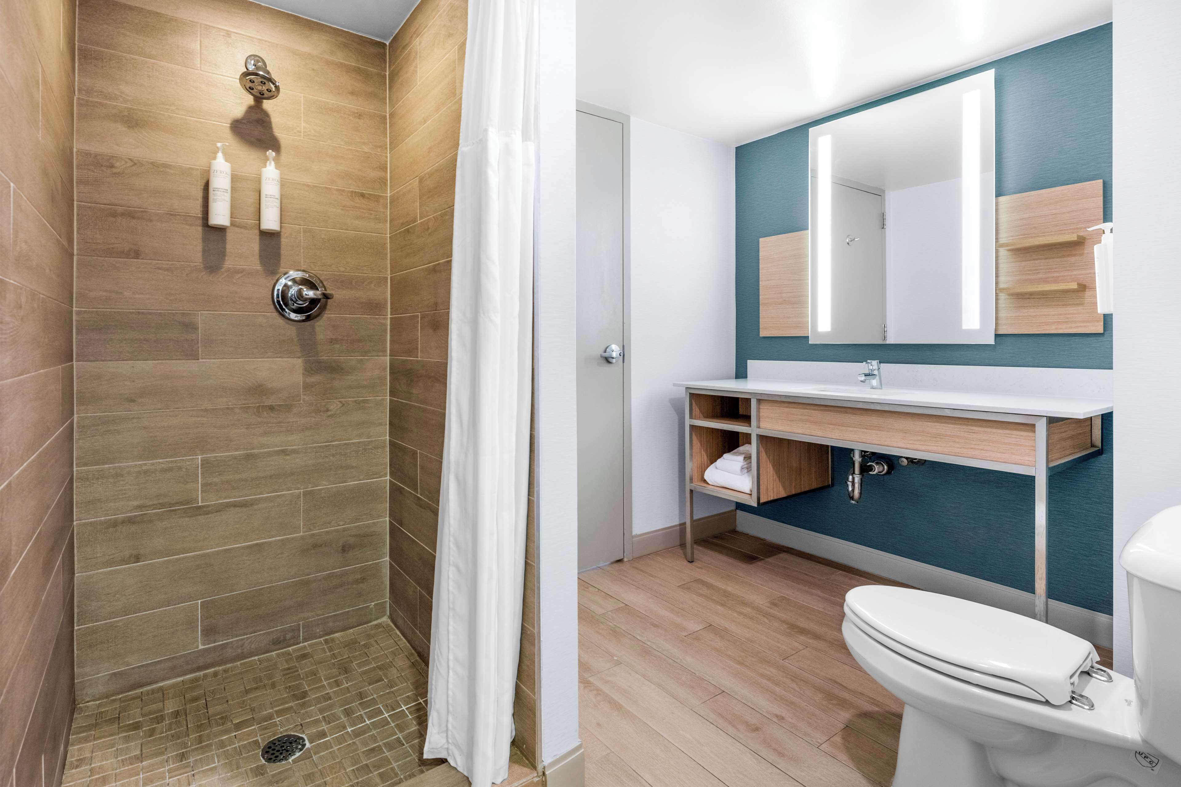 room (parlor, no bed) | bathroom shower