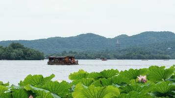 A traditional wooden boat on a calm lake, surrounded by lush green lotus plants.