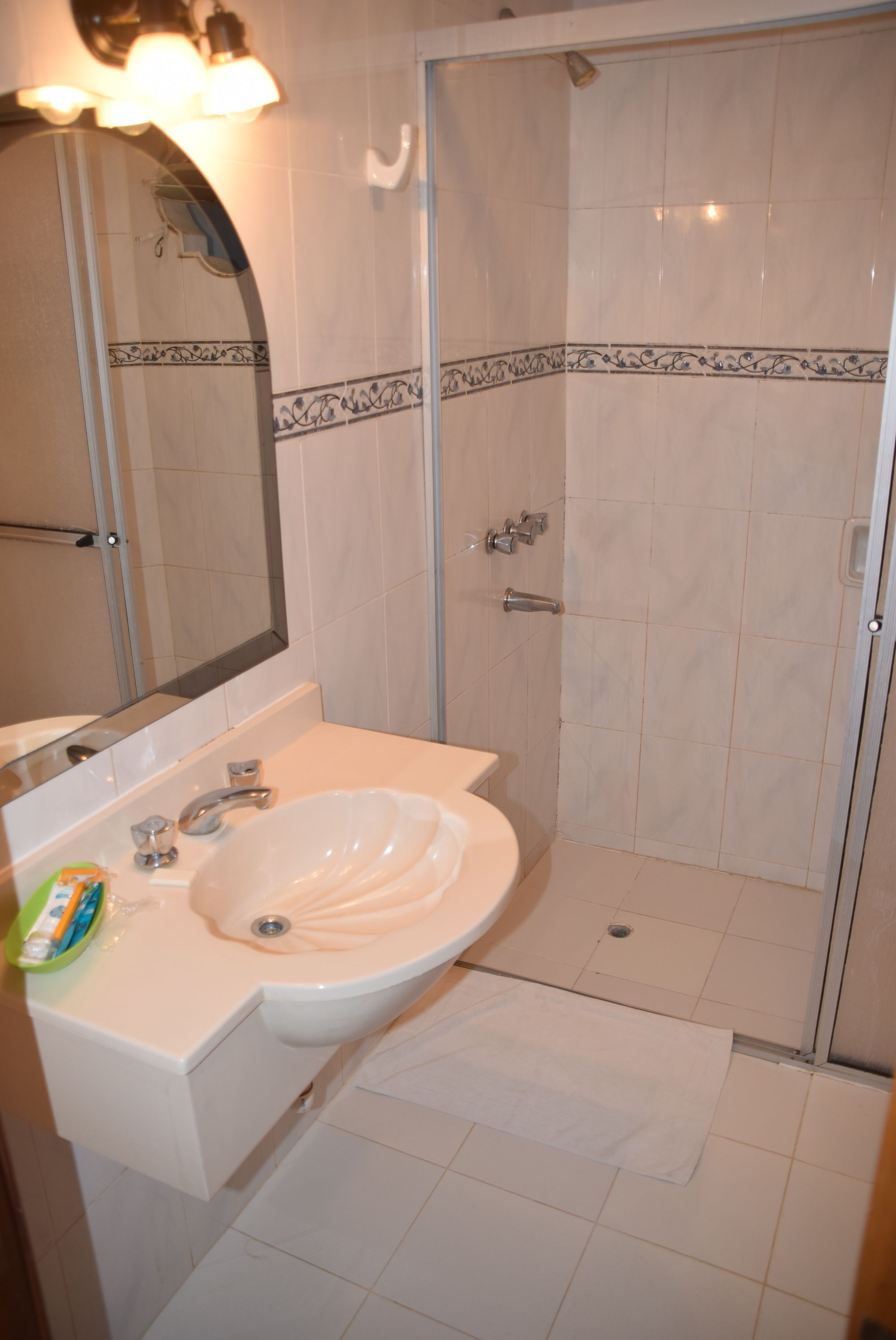 shower, free toiletries, bidet, towels