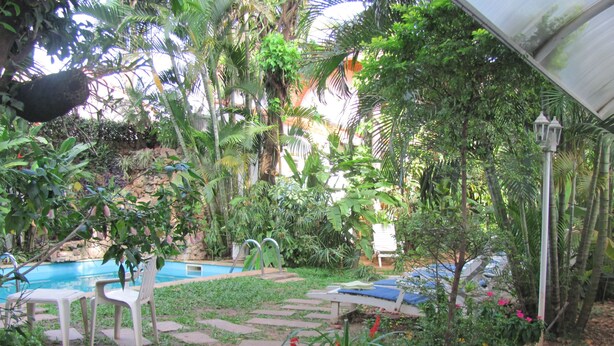 Un jardin luxuriant avec une piscine, des allées pavées et des chaises longues.