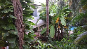 Un jardin luxuriant, parsemé de diverses plantes tropicales, une maison dont on aperçoit une partie à travers le feuillage, et une piscine bleue en arrière-plan.