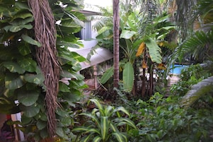 Jardín
