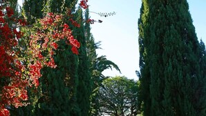 Property grounds - Los Parrales Resort Hotel (Tarija)