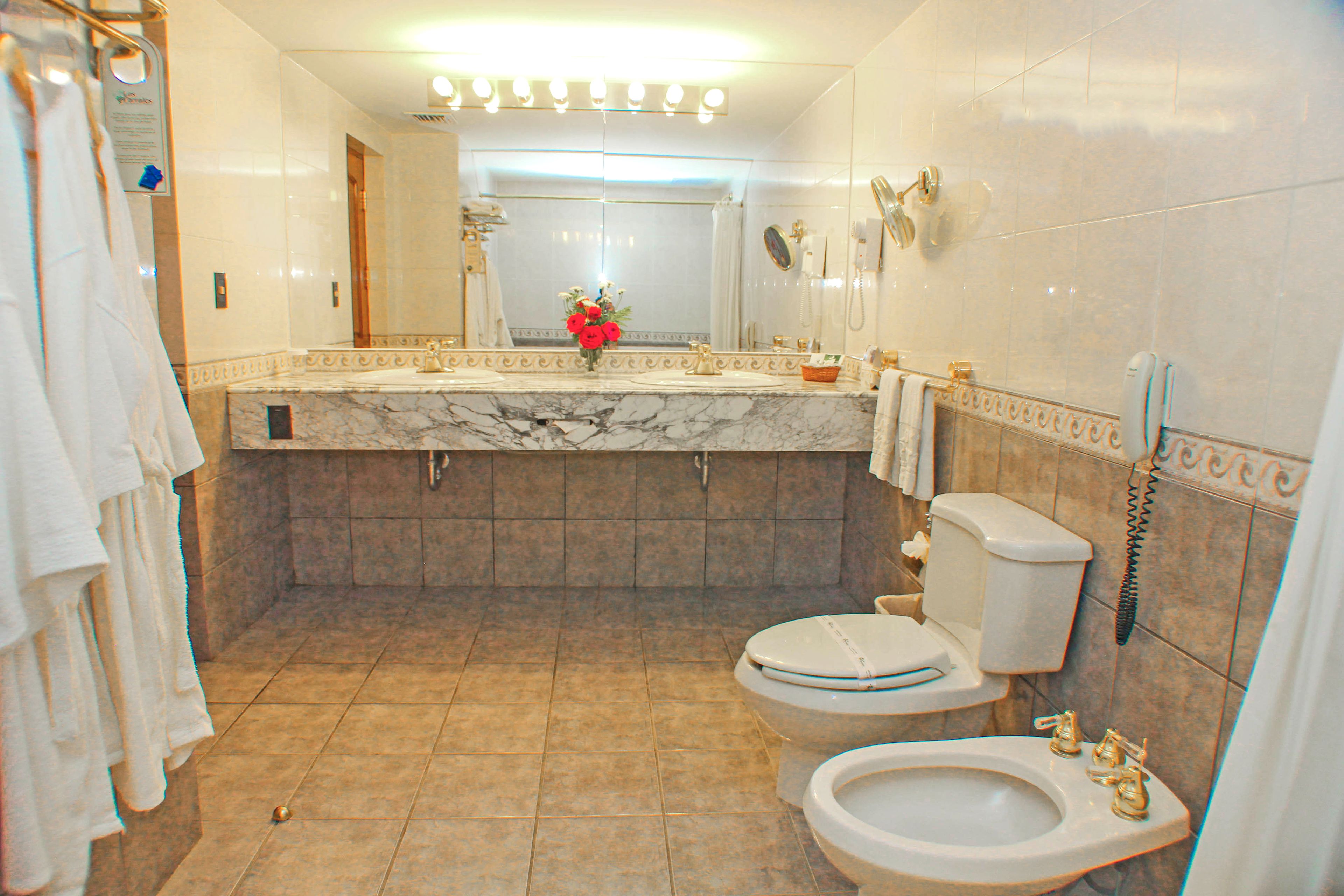 shower, rainfall showerhead, free toiletries, hair dryer